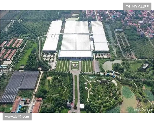 降级区发展与转型：探索新兴区域经济路径与社会融合模式